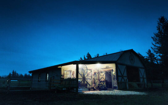 LED Corn Lights used in Stable